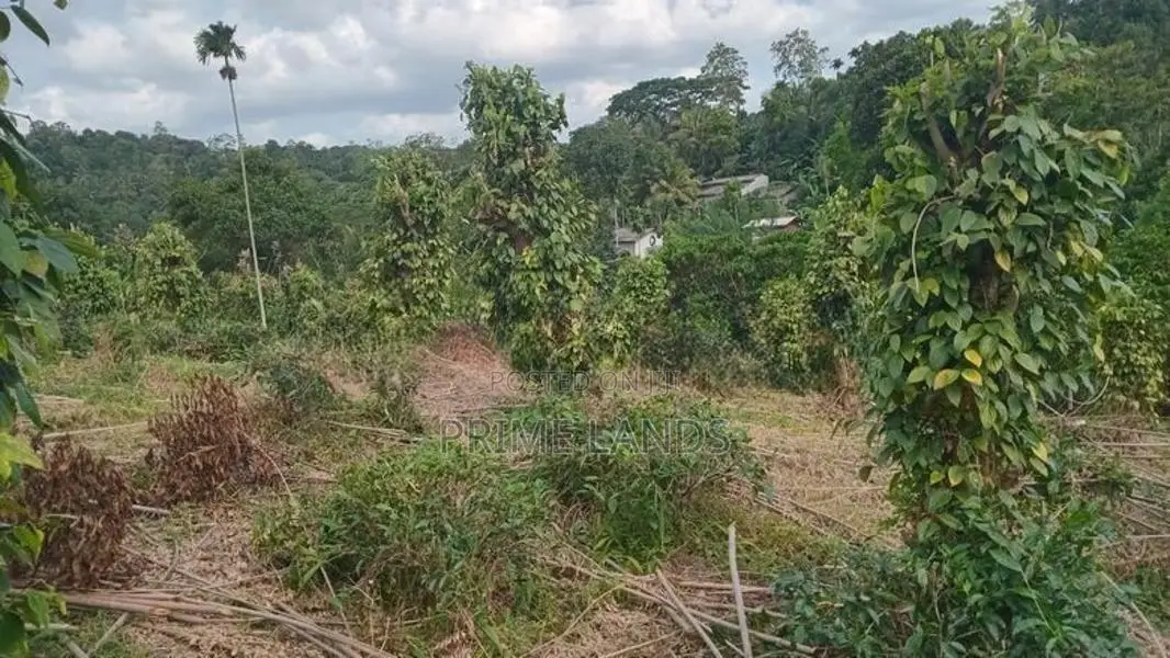 Valuable Land for Sale in Pilimathalawa