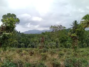Valuable Land for Sale in Pilimathalawa