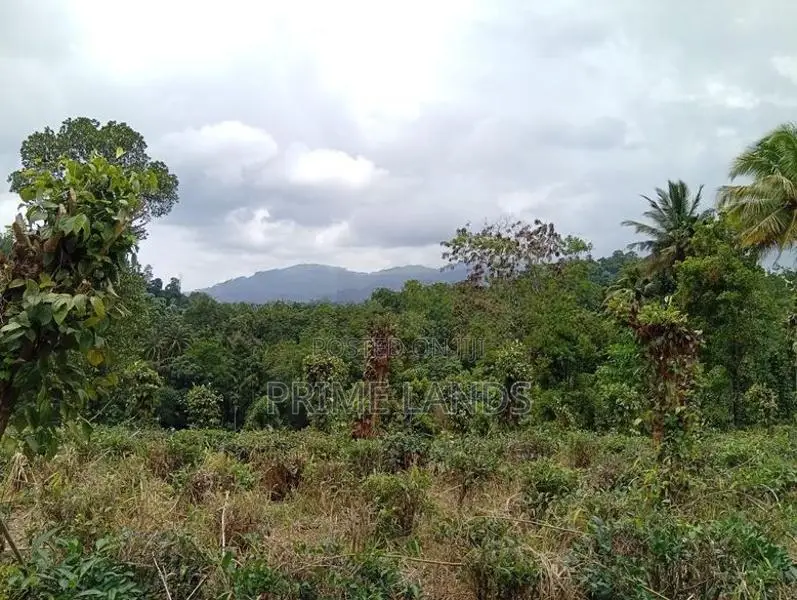Valuable Land for Sale in Pilimathalawa