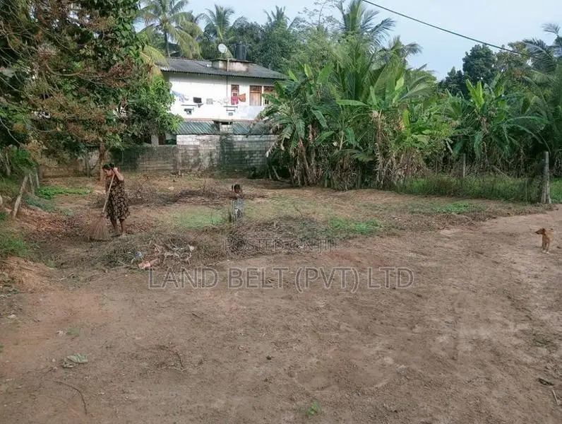 Thalagala Land for Sale
