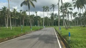 ගමිපහ කිරිදිවැල පාරට මුහුණලා යක්කල බිම්කොටස්