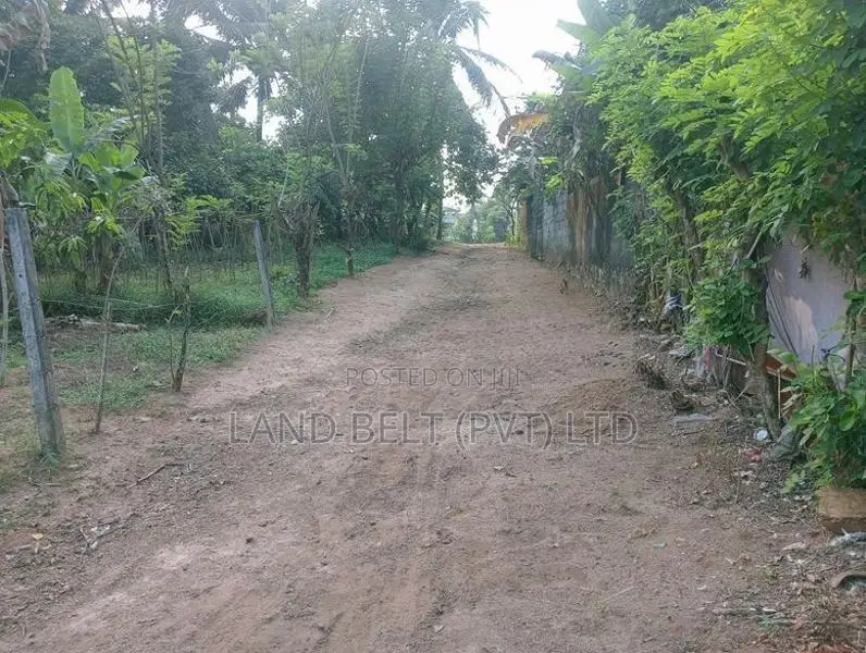 Thalagala Land for Sale