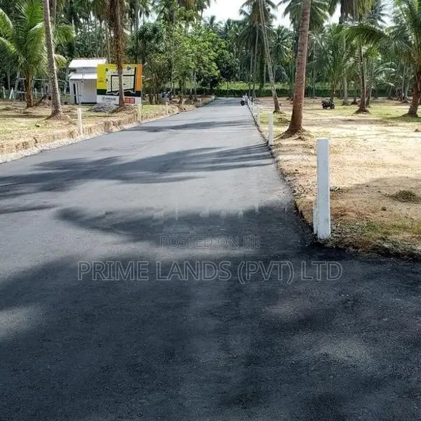 වේයන්ගොඩ නයිවල සුපිරි" බිම්කොටස්