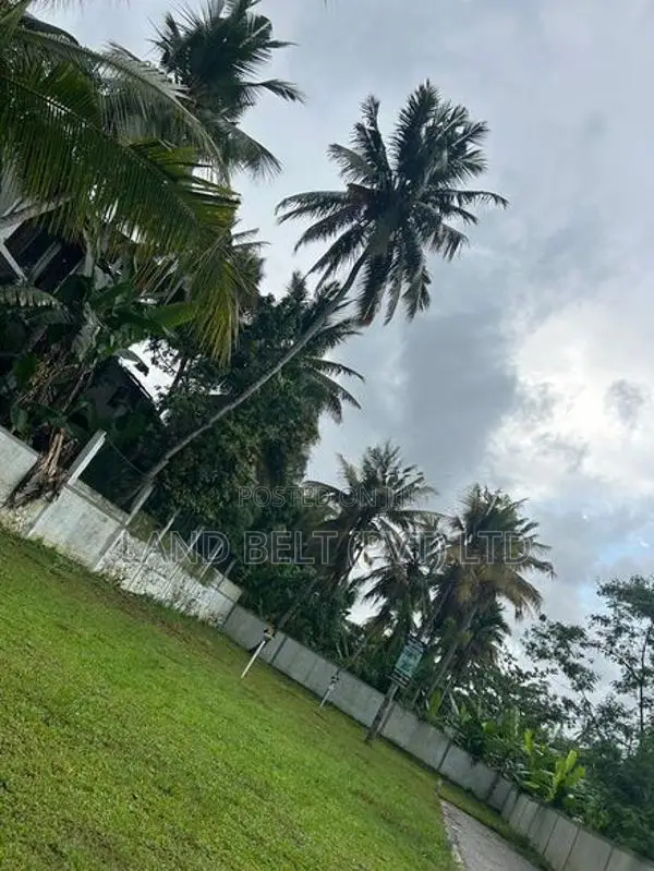 Malapalla බිම් කොටස්