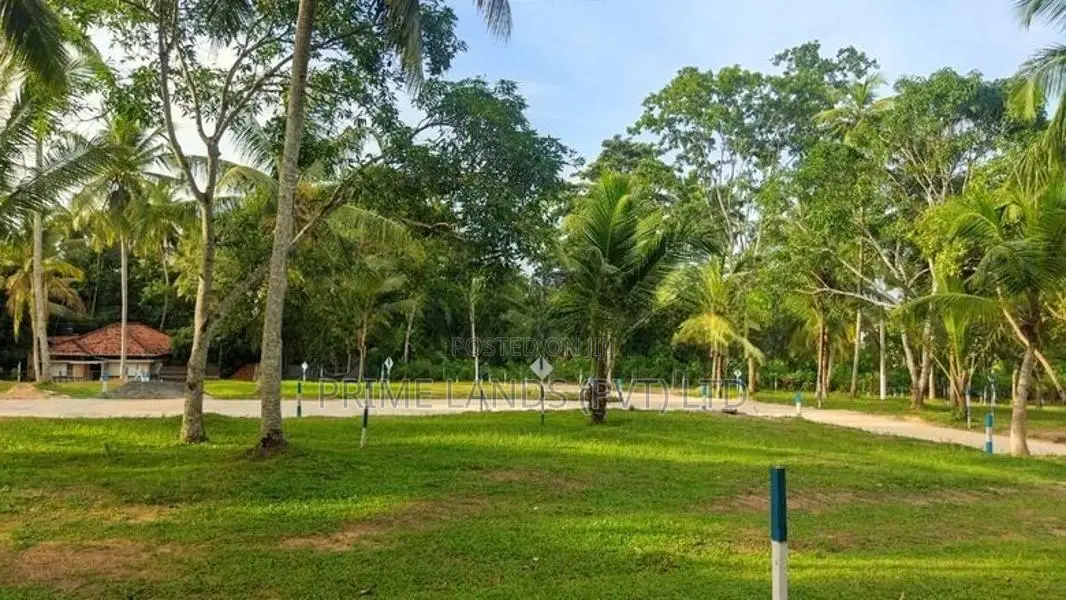 ම්නුවන්ගොඩ බල්ලපාන පාරට ලගින් බිම් කොටස්