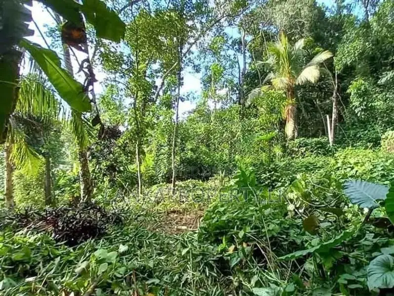 200+ Perches of Land With House, For Immediate Sale in Kosgama.