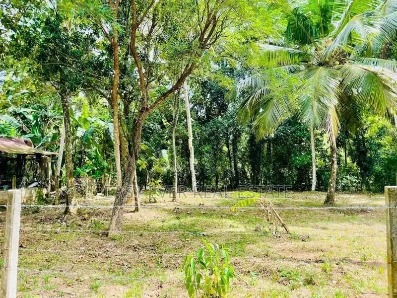මිනුවන්ගොඩ නගරයෙන් වටිනා නේවාසික ඉඩමක් විකිණීමට! / KK 10495