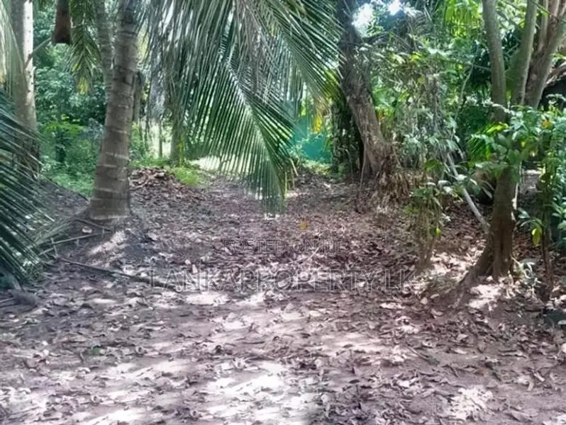 Highly Residential Land for Sale – Maharagama