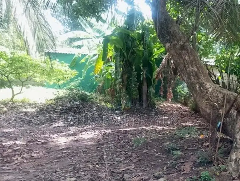 Highly Residential Land for Sale – Maharagama