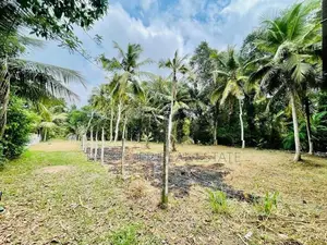 මිනුවන්ගොඩ නගරයෙන් වටිනා නේවාසික ඉඩමක් විකිණීමට! / KK 10495