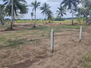 Land for Sale in Anuradhapura Nachchaduwa Road