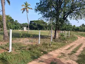 Land for Sale in Dambulla Kandy Road