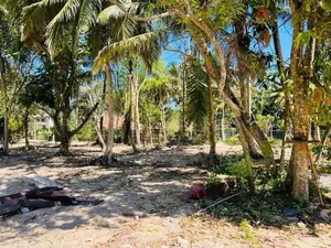 Valuable Land for Sale in Near Midigama Surf Point