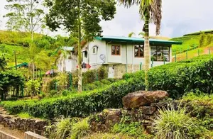 HATTON : 12-ACRE COMMERCIAL TEA ESTATE WITH RESORT FOR SALE