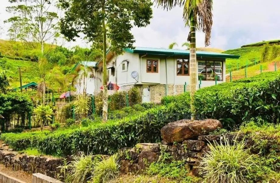 HATTON : 12-ACRE COMMERCIAL TEA ESTATE WITH RESORT FOR SALE