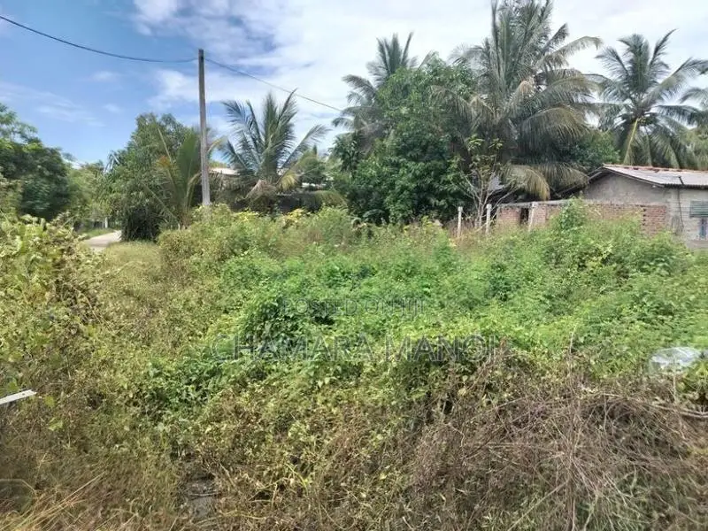 Land for Sale in Ampara