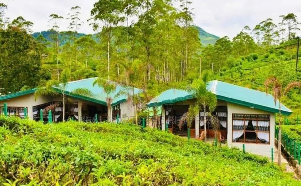 HATTON : 12-ACRE COMMERCIAL TEA ESTATE WITH RESORT FOR SALE