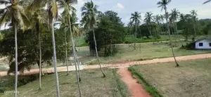Land for Sale in Wariyapola Kurunegala Road