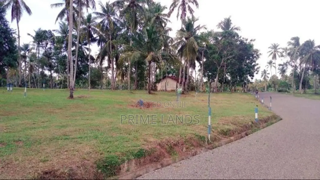 මීගමුව 251 පාරෙන් වටිනා ඉඩමක් විකිනීමට