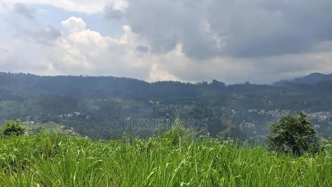 Valuable Land for Sale in Pussellawa Wahurupitiya