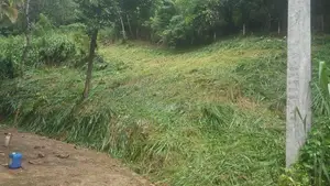 Land for Sale in Kandy Abathanna