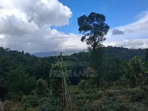 Land for Sale in Kandy Pilimatalawa