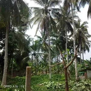 වේයන්ගොඩ නගරයට ඉතා ආසන්නයෙන් අගනා බිම් කොටසක් / YS 14193