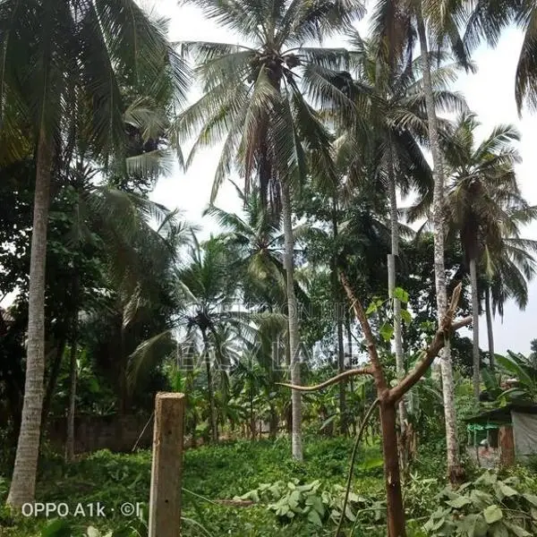 වේයන්ගොඩ නගරයට ඉතා ආසන්නයෙන් අගනා බිම් කොටසක් / YS 14193