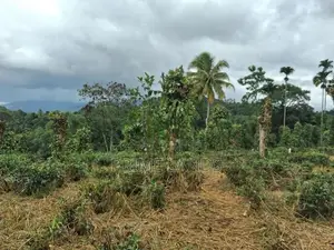 Land for Sale in Kandy Pilimatalawa