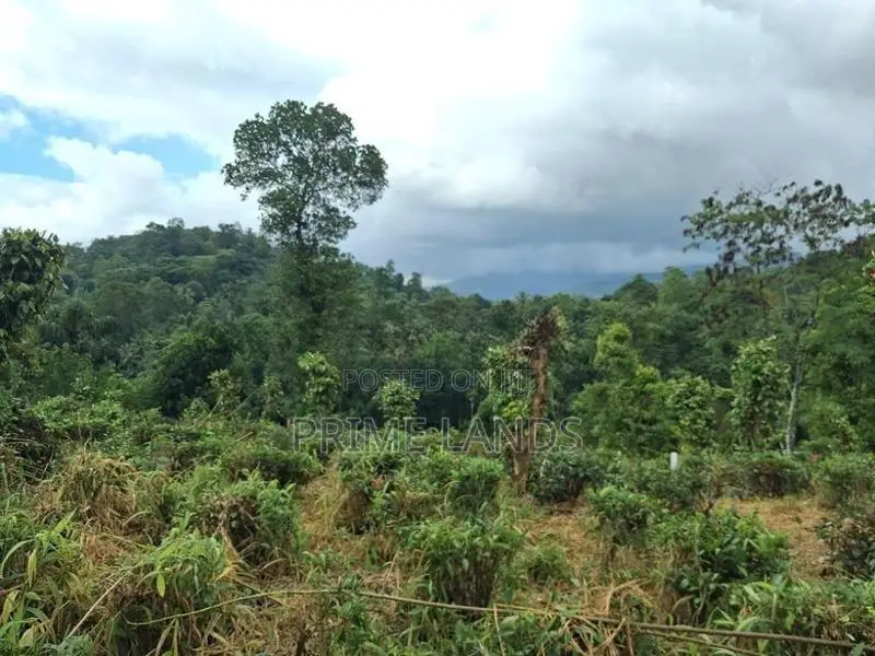 Land for Sale in Kandy Pilimatalawa