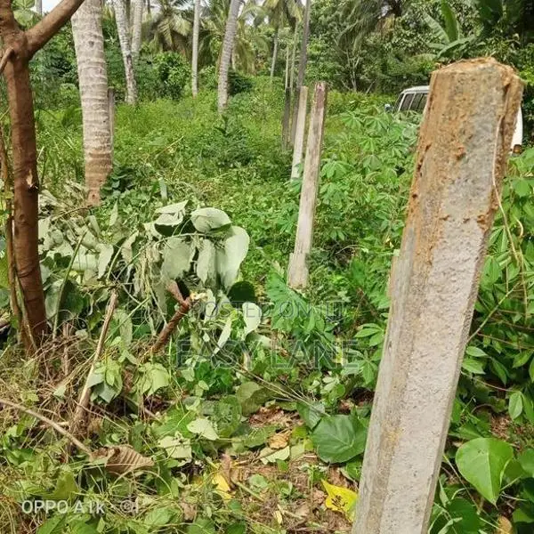 වේයන්ගොඩ නගරයට ඉතා ආසන්නයෙන් අගනා බිම් කොටසක් / YS 14193