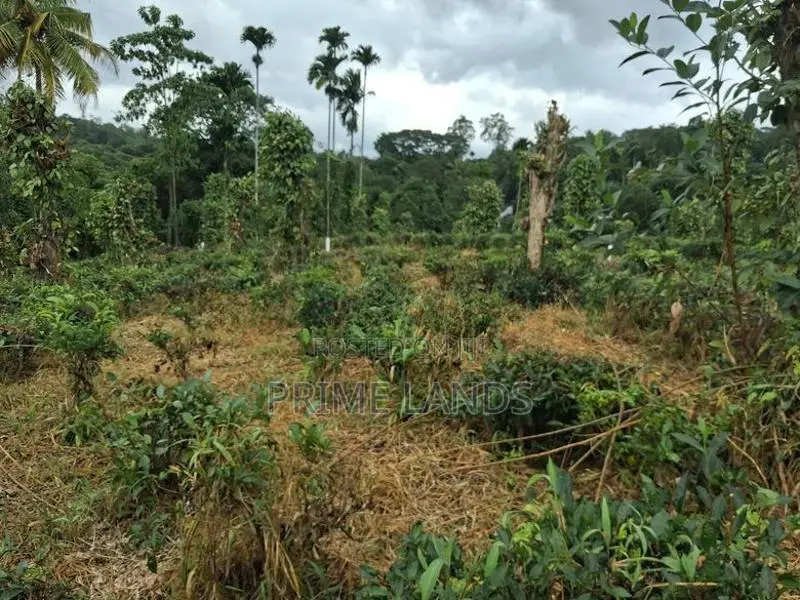 Land for Sale in Kandy Pilimatalawa