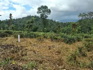 Land for Sale in Kandy Pilimatalawa
