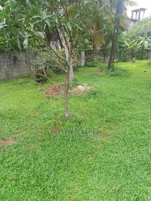 Land for Sale .16.5 Parch Ganemulla