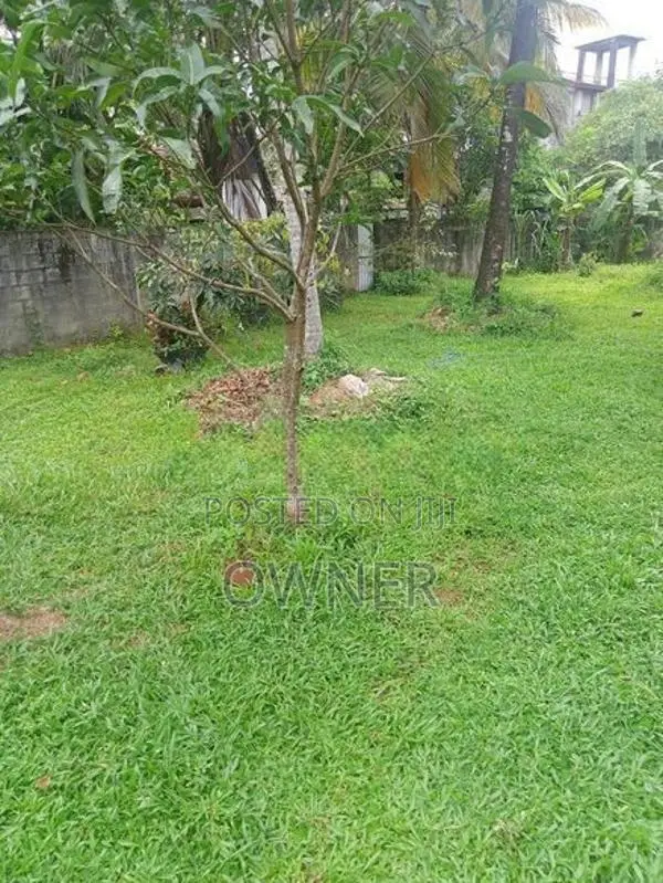 Land for Sale .16.5 Parch Ganemulla