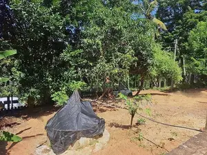 Basic House for Sale – Thammitawatte, Hunumulla (Badalgama)