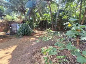 Basic House for Sale – Thammitawatte, Hunumulla (Badalgama)