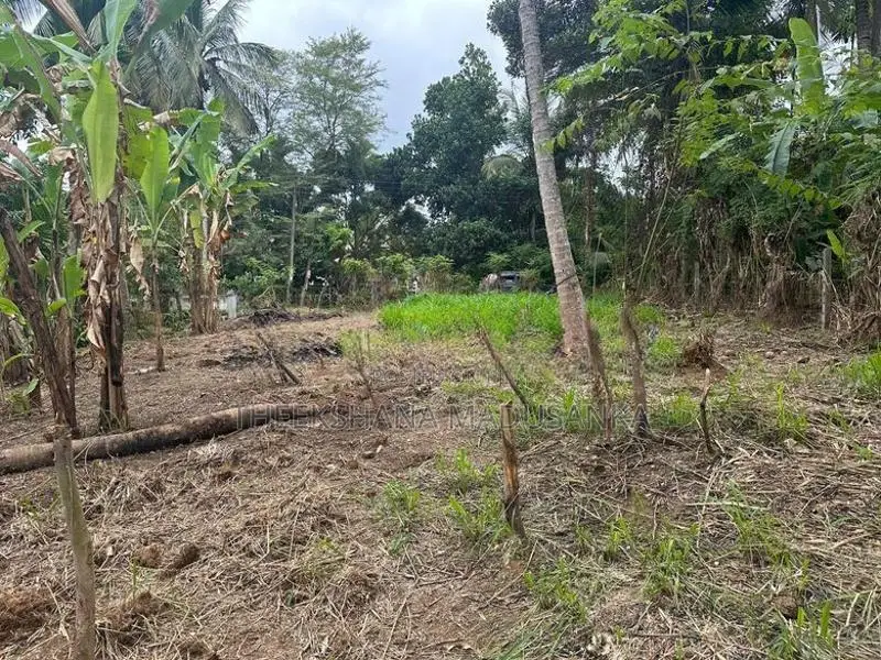20.3 Perch Residential Land for Sale in Hasthipura, Rambukkana