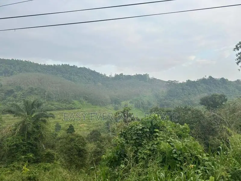 නිට්ටඹුව රුවන්වැල්ල පාරට සෘජුවම මායිම් වූ පර්චස් 409 ක වටිනා ඉඩමක්