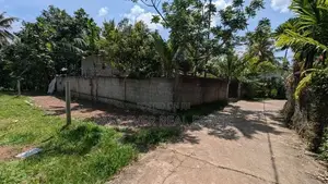 බියගමින් පර්චස් 10යි ඉඩම්