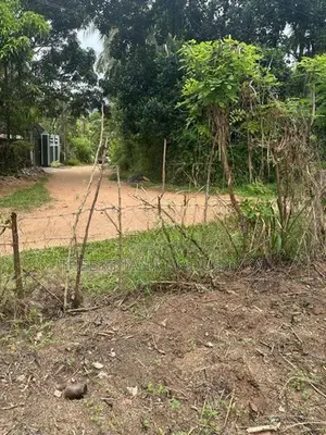 20.3 Perch Residential Land for Sale in Hasthipura, Rambukkana