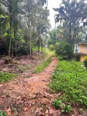 නිට්ටඹුව රුවන්වැල්ල පාරට සෘජුවම මායිම් වූ පර්චස් 409 ක වටිනා ඉඩමක්
