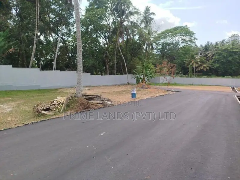 පන්නිපිටිය බිම් කොටස් විකිණීමට