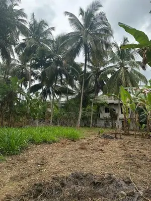 20.3 Perch Residential Land for Sale in Hasthipura, Rambukkana