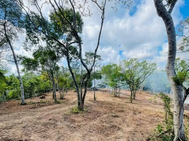 Talalla , Dickwella Beach Side Land Sale