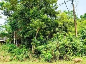 කළුතර – ගමගොඩින් කදිම බිම් කොටසක්
