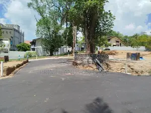 පන්නිපිටිය බිම් කොටස් විකිණීමට