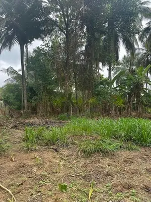 20.3 Perch Residential Land for Sale in Hasthipura, Rambukkana