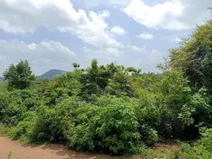 කළුතර – ගමගොඩින් කදිම බිම් කොටසක්