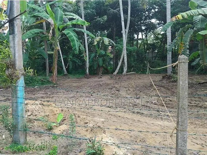 Valuable Land for Sale in Hikkaduwa Tourist Zone